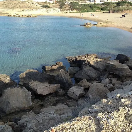 Narkissos * Paralimni